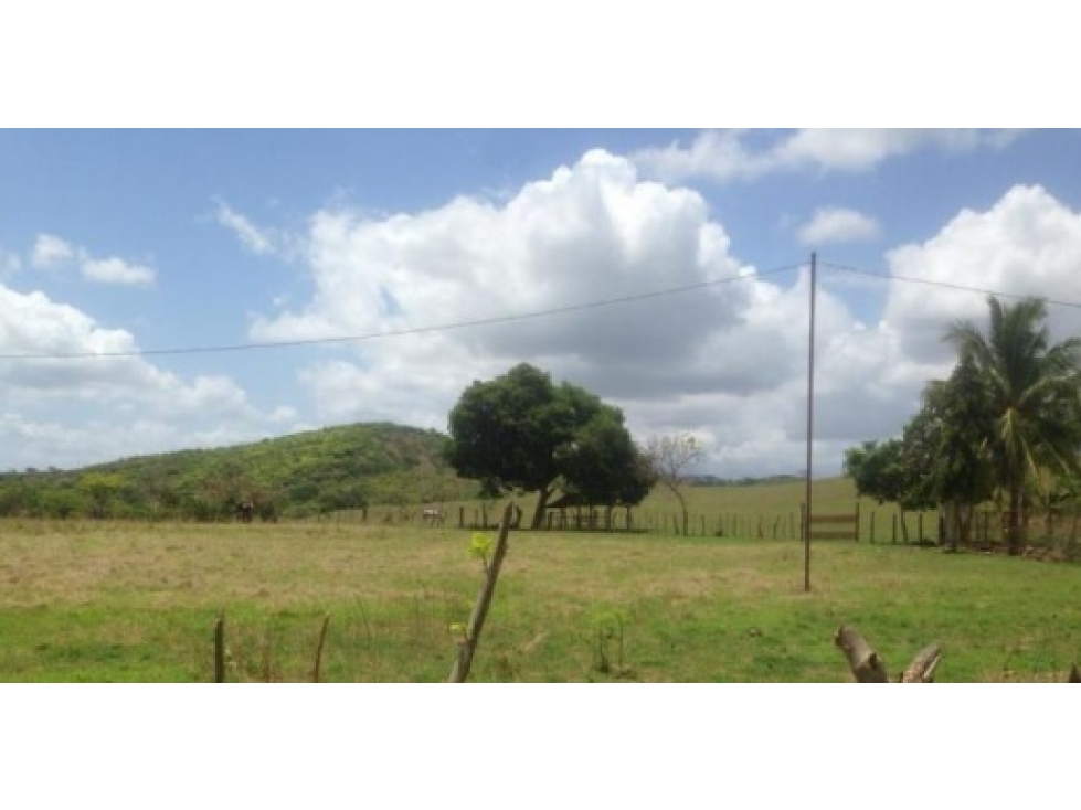 Venta de finca en Pesé, Herrera - 3