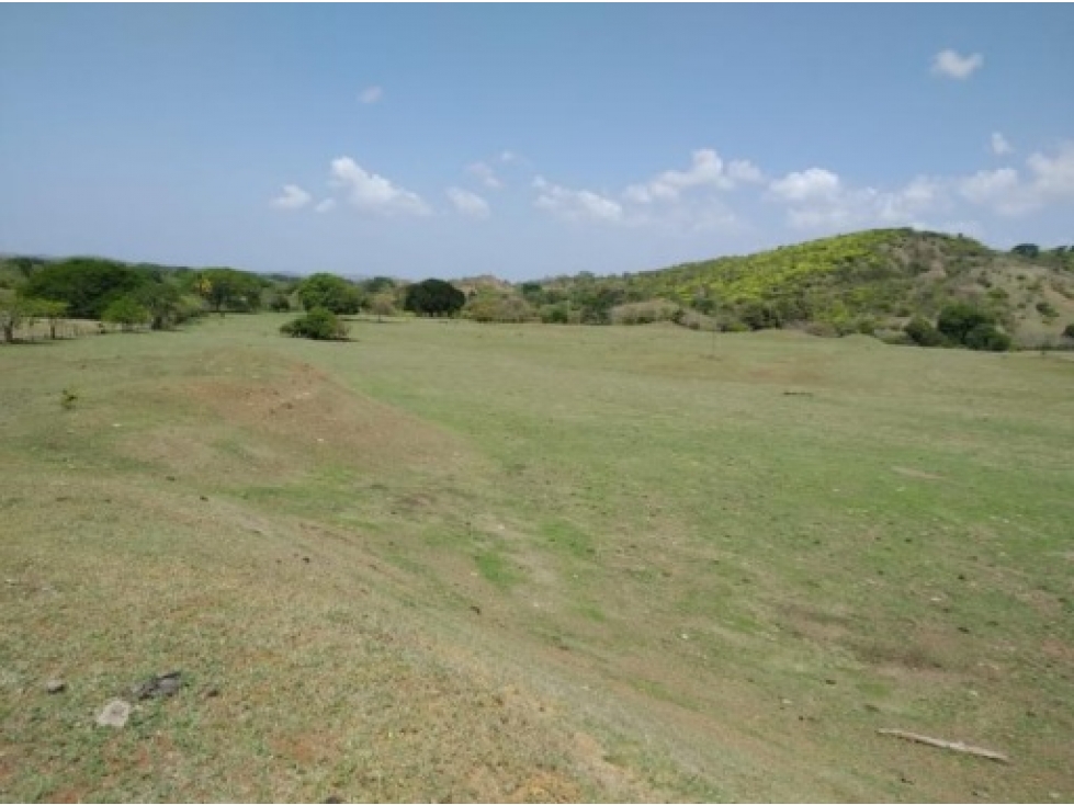 Venta de finca en Pesé, Herrera - 4