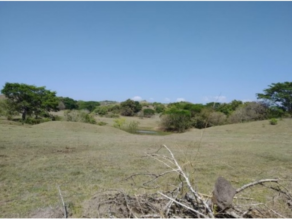 Venta de finca en Pesé, Herrera - 5