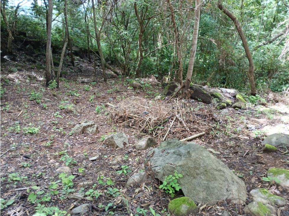 Terreno en Venta en Aires de Chicá, Chame — foto 4