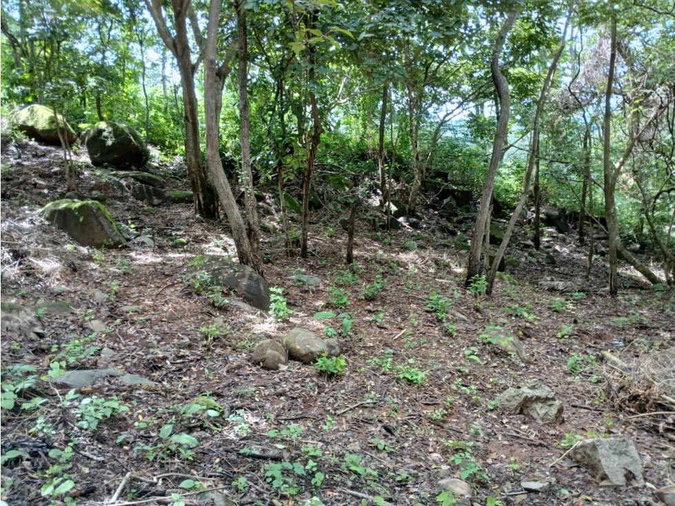Terreno en Venta en Aires de Chicá, Chame — foto 6
