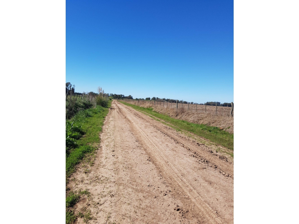 Campo de 22 hectareas a la venta en lujan proximo a acceso oeste - 4