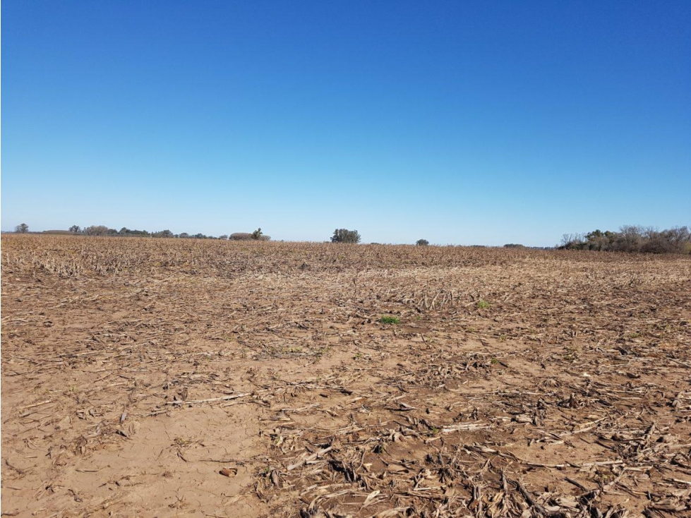 Campo de 22 hectareas a la venta en lujan proximo a acceso oeste - 5