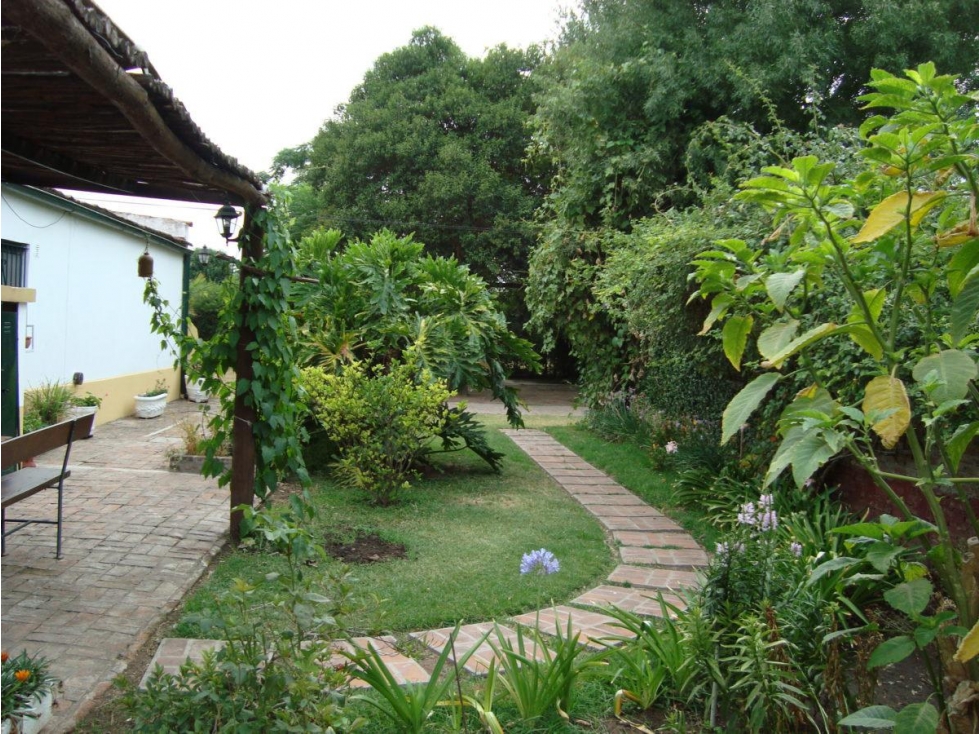 Casa - Pueblo Nuevo - 6