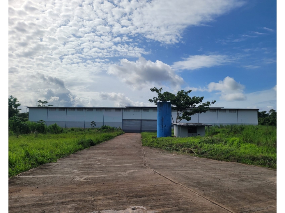 Se Alquila Bodega y Terreno en Nuevo Chorrillo, Arraiján