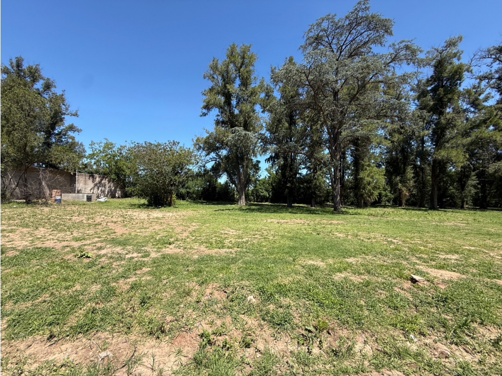 terreno arbolado en venta en lujan sobre Av. Julio a roca - 2