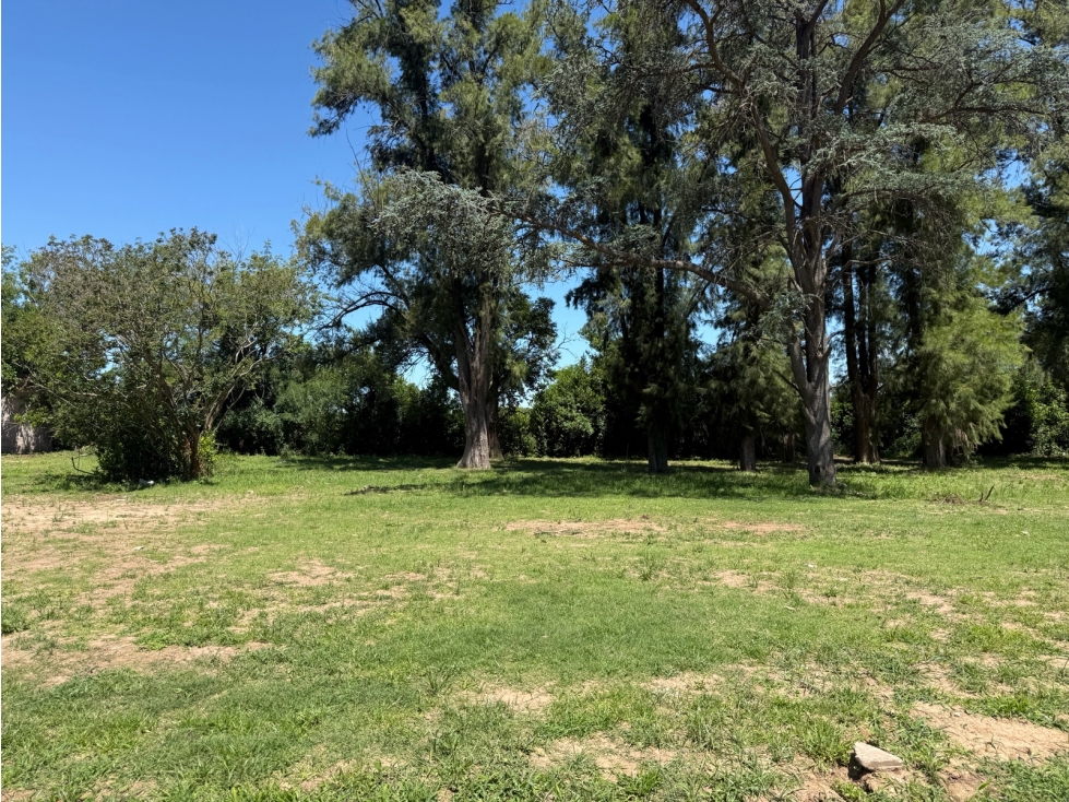 terreno arbolado en venta en lujan sobre Av. Julio a roca - 3