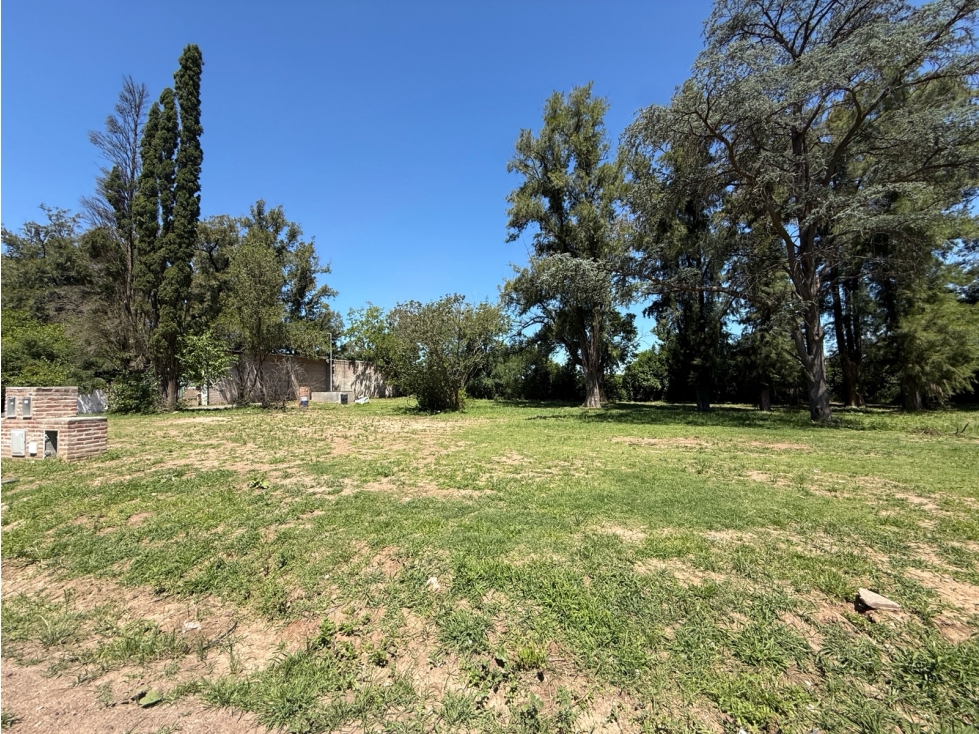 terreno arbolado en venta en lujan sobre Av. Julio a roca - 4
