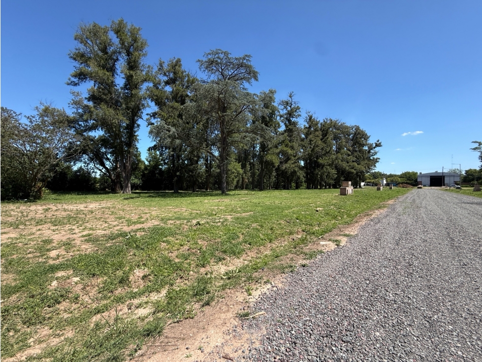 terreno arbolado en venta en lujan sobre Av. Julio a roca - 6