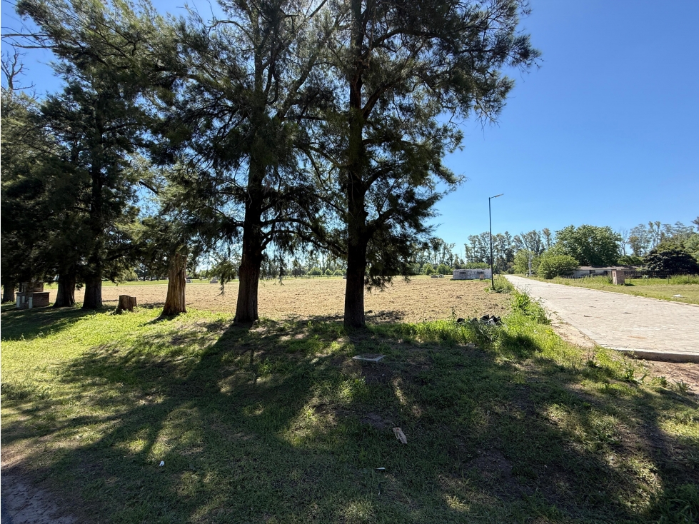Terreno en venta en Cortines Lujan esquina sobre Mosconi - 5