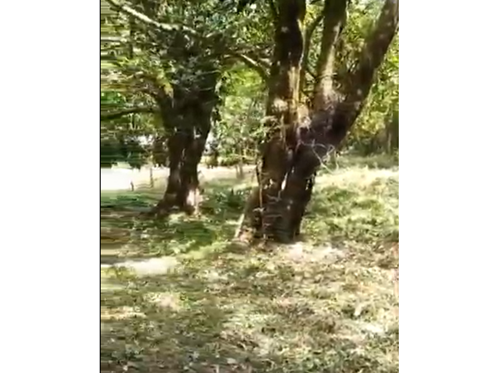 Venta de Terreno en El Valle de Antón - 2
