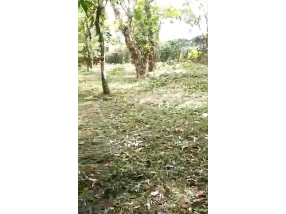 Venta de Terreno en El Valle de Antón - 4