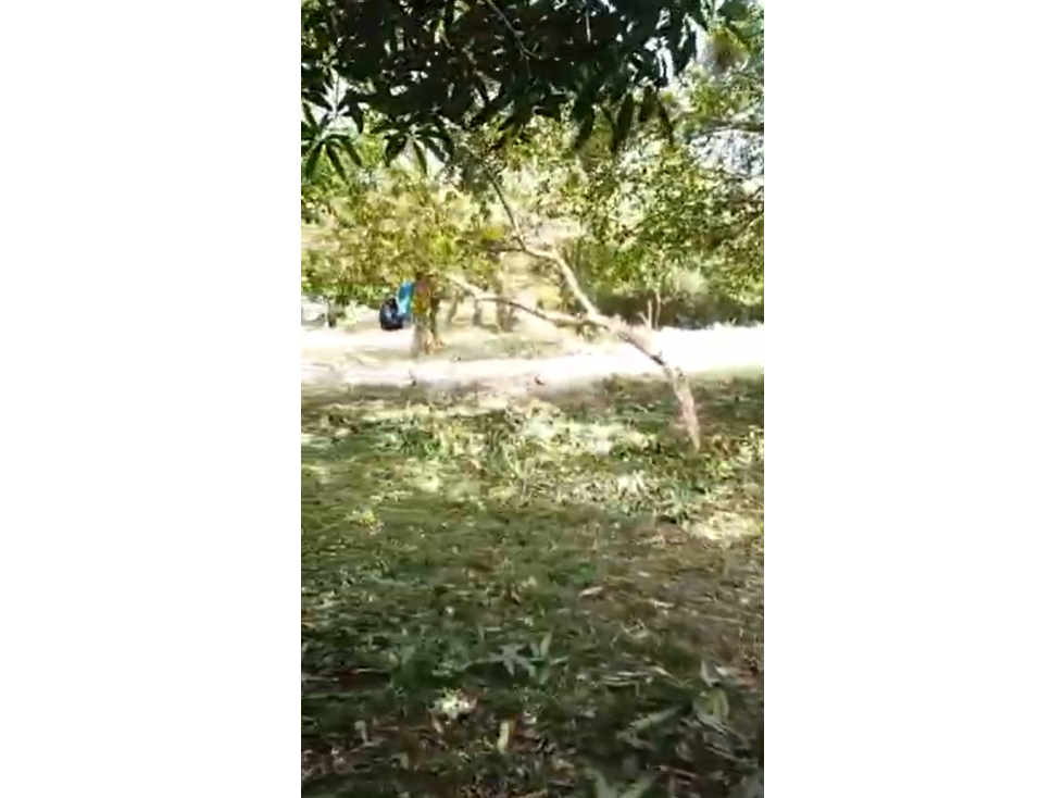 Venta de Terreno en El Valle de Antón - 5