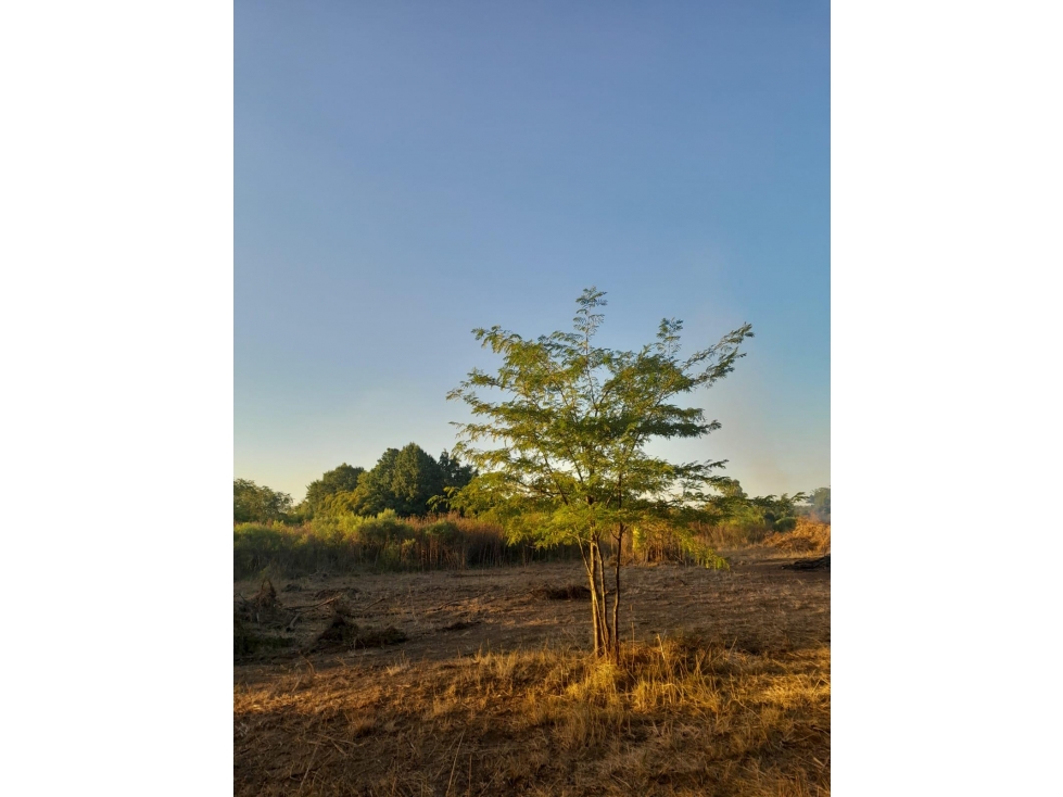 Terreno en venta en barrio abierto sin expensas de 900m2 en lujan - 6