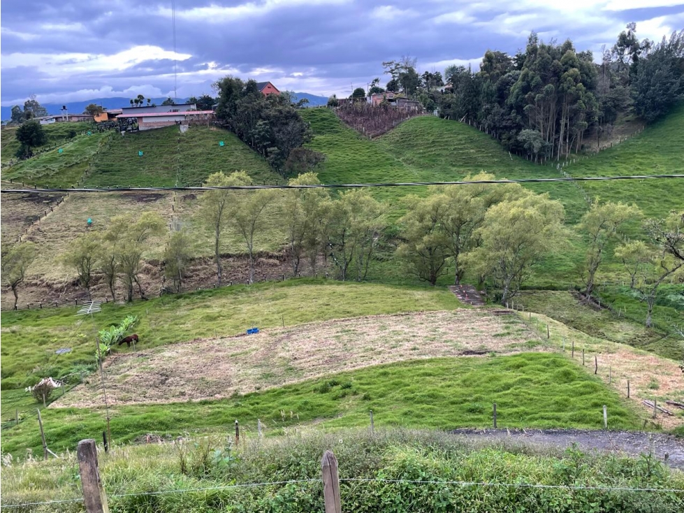 VENDO LOTE CAMPESTRE EN SAN PEDRO DE LOS MILAGROS | 2.641 m² - 5