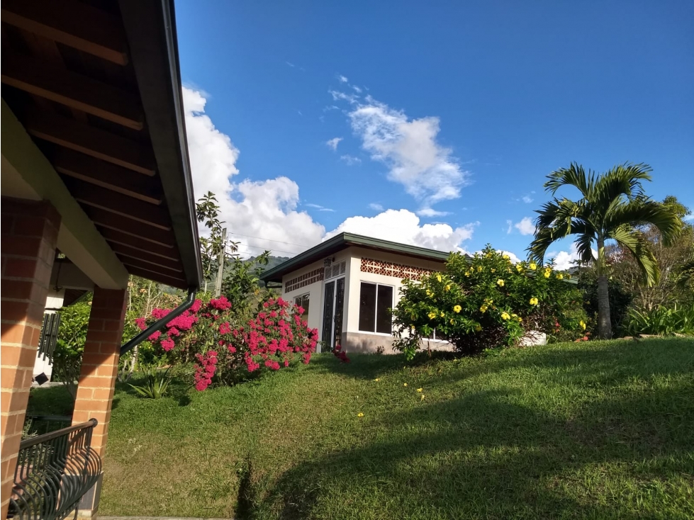 VENDO FINCA TERMINADA EN EL MUNICIPÍO DE EBÉJICO-ANTIOQUIA-BUEN PRECIO — foto 3