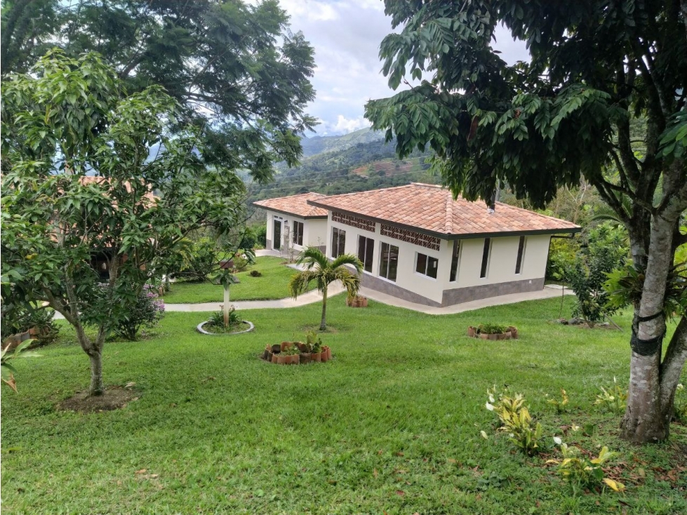VENDO FINCA TERMINADA EN EL MUNICIPÍO DE EBÉJICO-ANTIOQUIA-BUEN PRECIO — foto 4