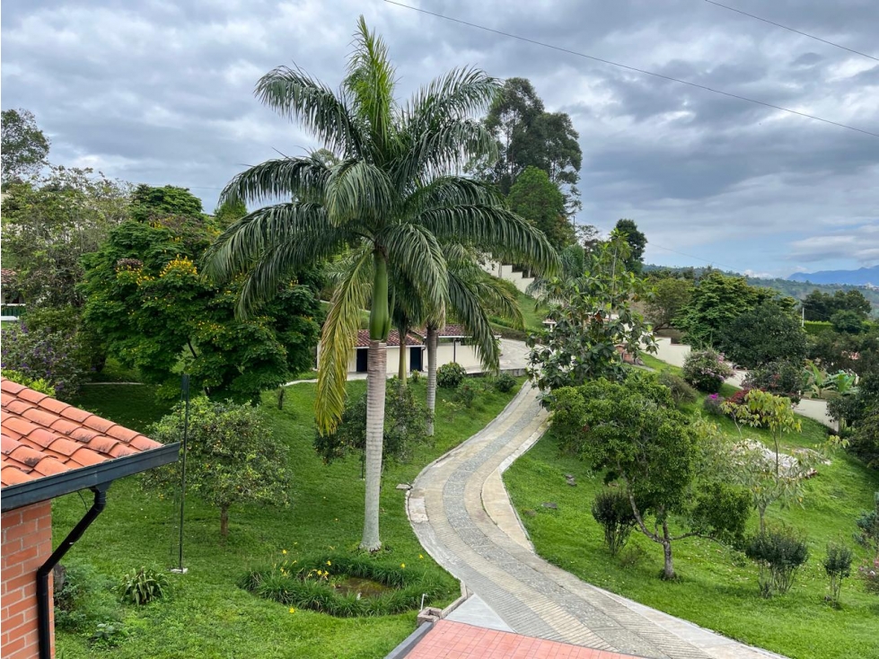 VENDO FINCA TERMINADA EN EL MUNICIPÍO DE EBÉJICO-ANTIOQUIA-BUEN PRECIO — foto 5
