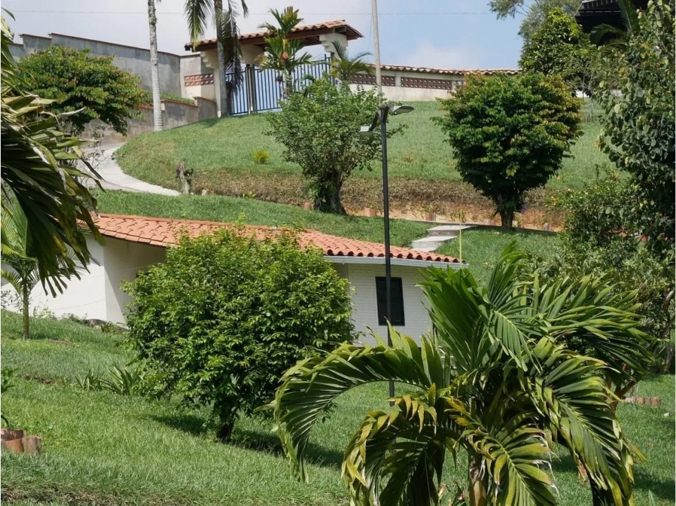VENDO FINCA TERMINADA EN EL MUNICIPÍO DE EBÉJICO-ANTIOQUIA-BUEN PRECIO — foto 6