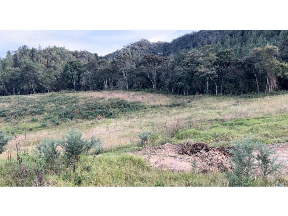 [RH] Lote para la venta entre Alto de las Palmas y el Escobero (1)