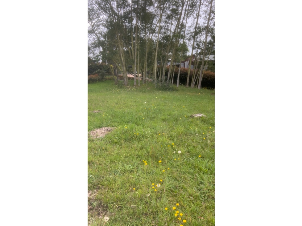 [RH] Lote en venta, Variante Palmas, Vereda Perico, Envigado
