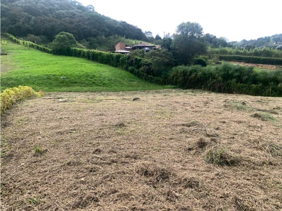 [EM] SE VENDE MUY BUEN LOTE EN LA CEJA,CON TOPOGRAFIA MUY BONITA