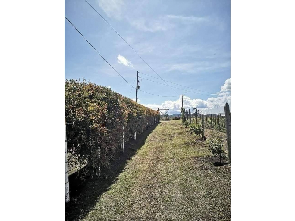 Se vende Finca muy acogedora en Rionegro, Vereda San Luis — foto 2