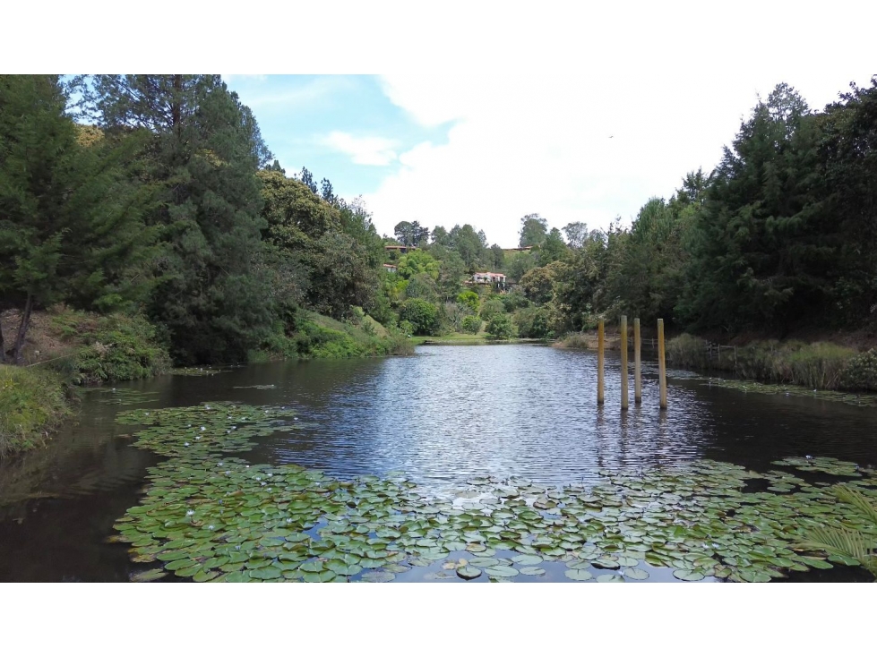 CASA FINCA EN VENTA RIONEGRO, VALLE DE SAN NICOLÁS — foto 6