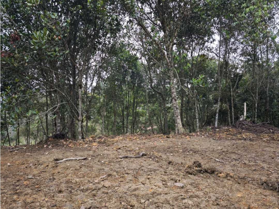 [EM] SE VENDEN LOTES EN GUARNE,SECTOR BATEA SECA A 3 KM DE LA AUTOP — foto 6