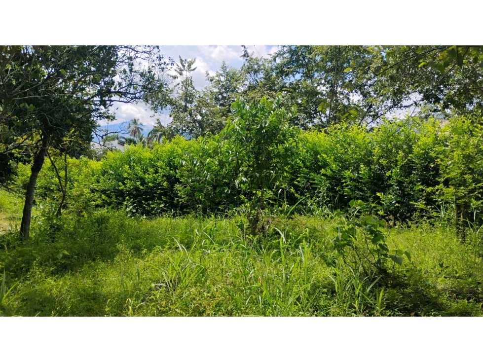 [RA] LOTE EN VENTA SOPETRAN CERCA DEL PUEBLO — foto 2