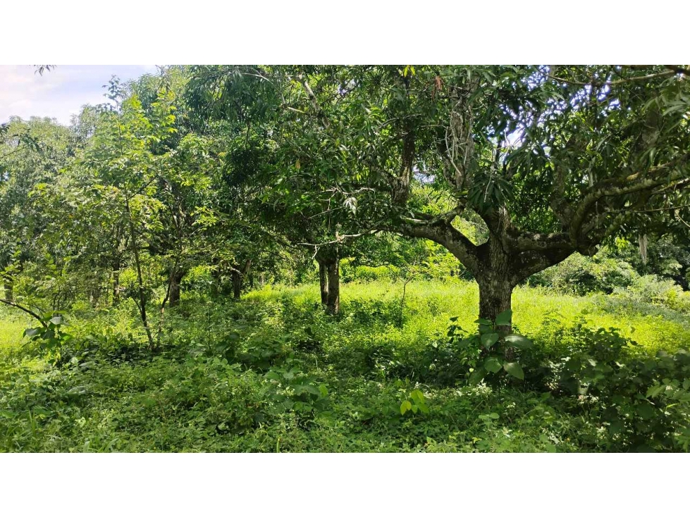 [RA] LOTE EN VENTA SOPETRAN CERCA DEL PUEBLO — foto 3