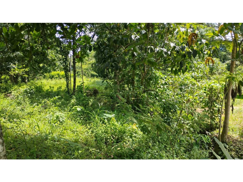[RA] LOTE EN VENTA SOPETRAN CERCA DEL PUEBLO — foto 4