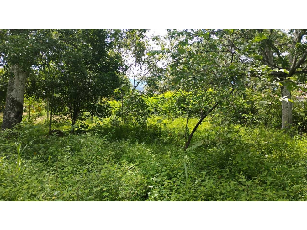 [RA] LOTE EN VENTA SOPETRAN CERCA DEL PUEBLO — foto 5