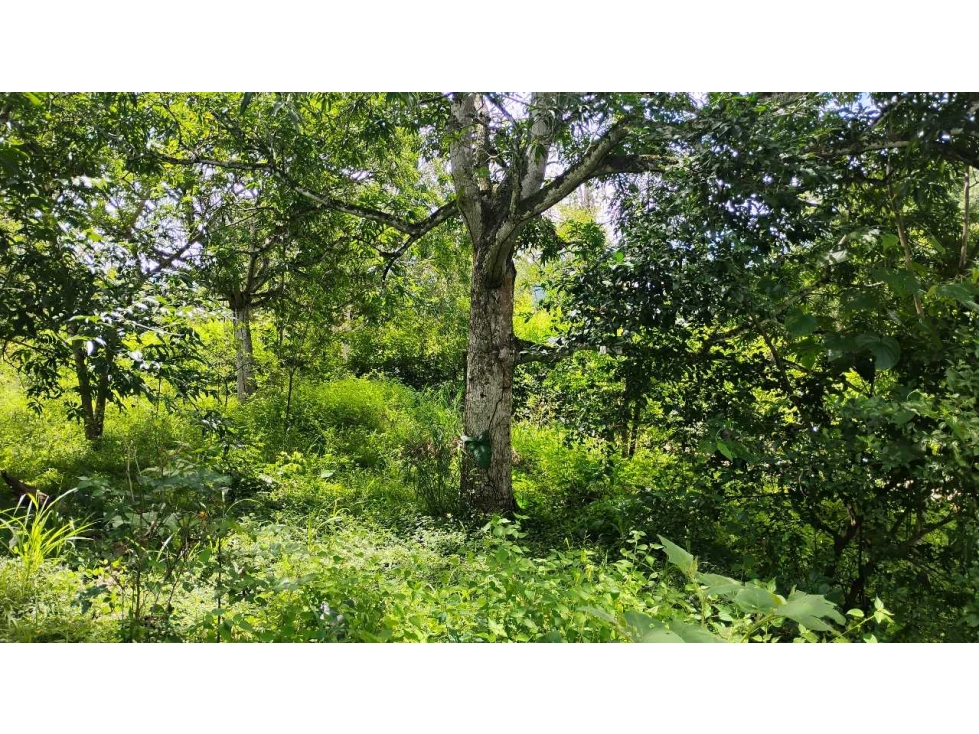 [RA] LOTE EN VENTA SOPETRAN CERCA DEL PUEBLO — foto 6