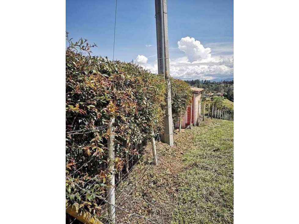 Se vende Finca muy acogedora en Rionegro, Vereda San Luis — foto 3