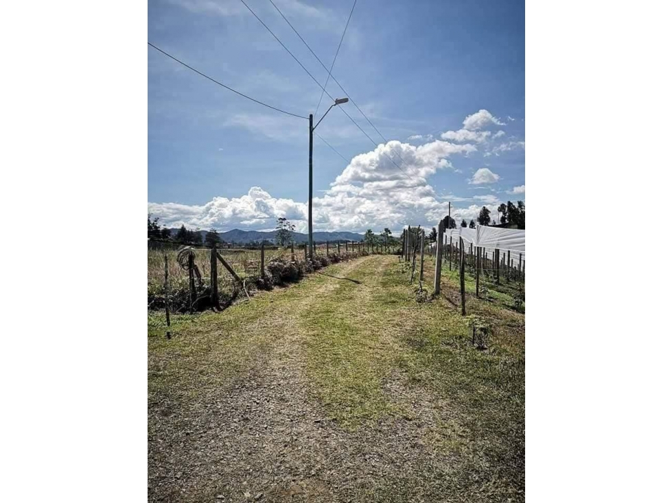 Se vende Finca muy acogedora en Rionegro, Vereda San Luis — foto 4