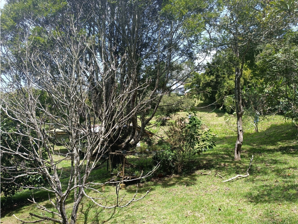 Hermoso Lote con casa muy acogedora a 2 klms del peaje de la variante — foto 2