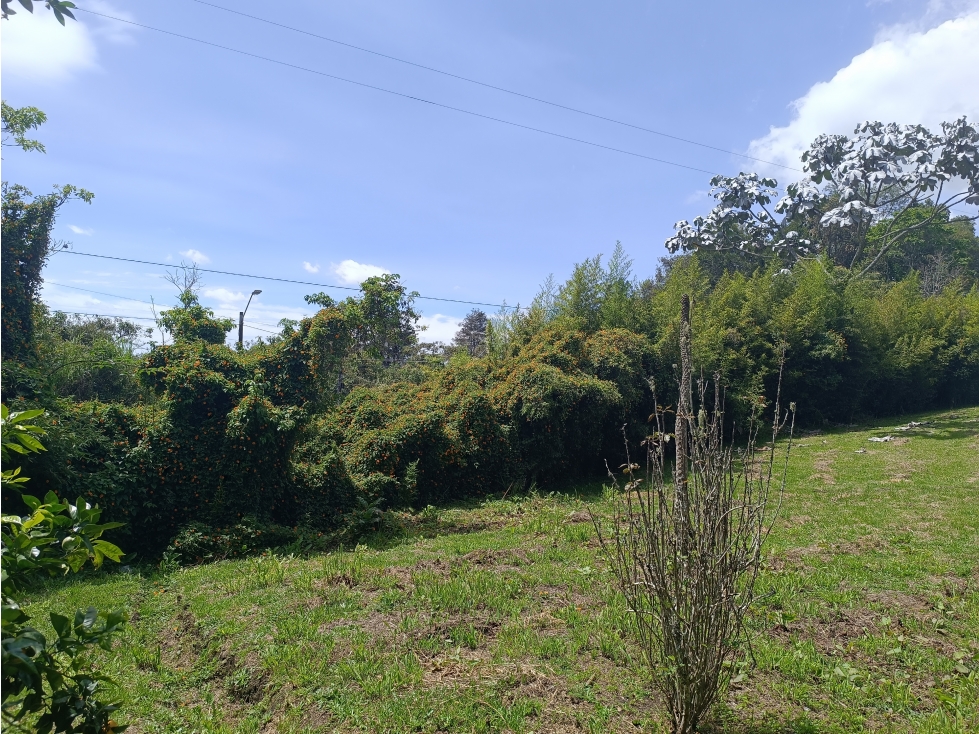 Hermoso Lote con casa muy acogedora a 2 klms del peaje de la variante — foto 5