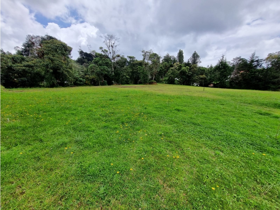 [JN] LOTE EN VENTA EN ALTO DE PALMAS VEREDA LA ESPERANZA — foto 2