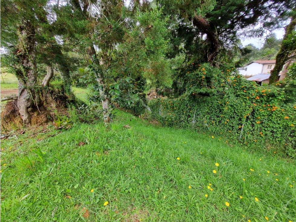 [JN] LOTE EN VENTA EN ALTO DE PALMAS VEREDA LA ESPERANZA — foto 6