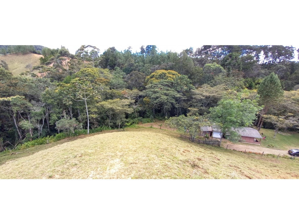 [JN] FINCA PARA PARCELACION EN EL RETIRO ANTIOQUIA — foto 4