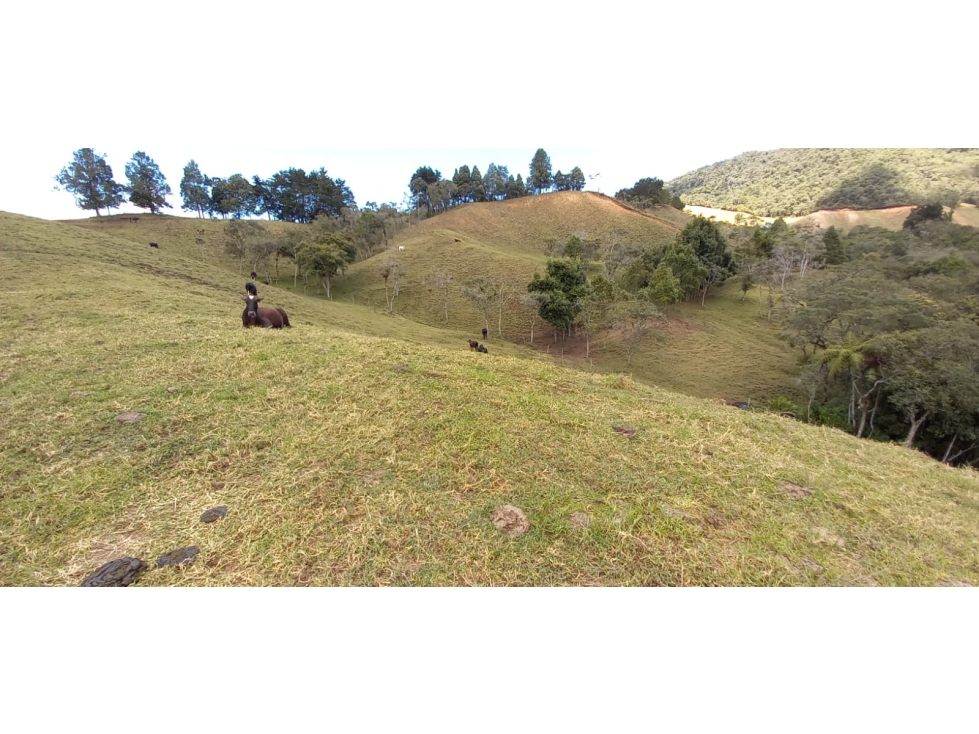 [JN] FINCA PARA PARCELACION EN EL RETIRO ANTIOQUIA — foto 6