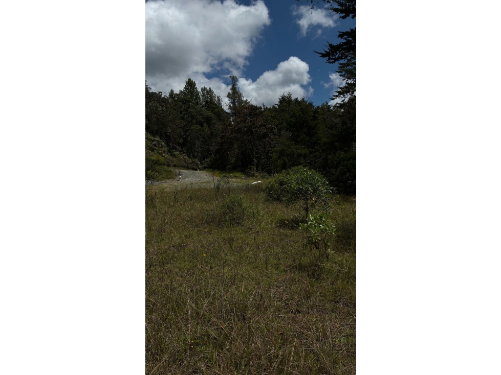 [FA] Lote en Montesereno con excelente área y opción ecuestre — foto 2