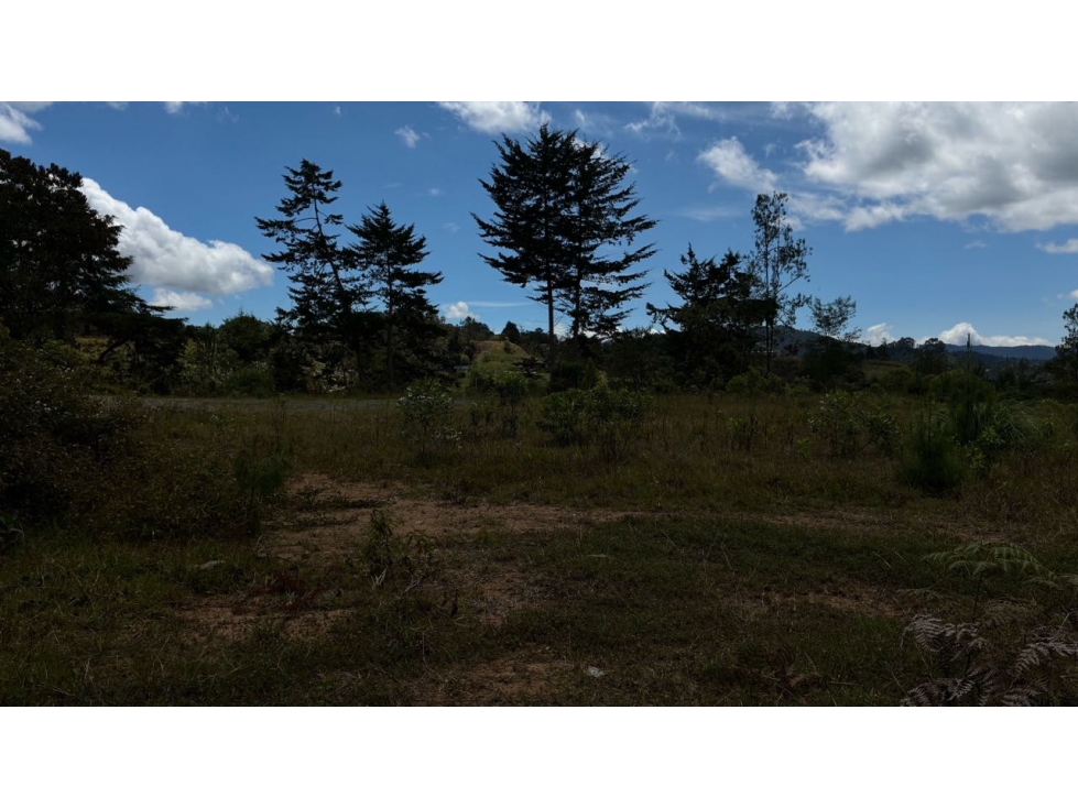[FA] Lote en Montesereno con excelente área y opción ecuestre — foto 5