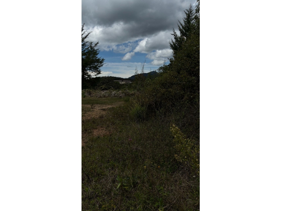 [FA] Lote en Montesereno con excelente área y opción ecuestre — foto 6
