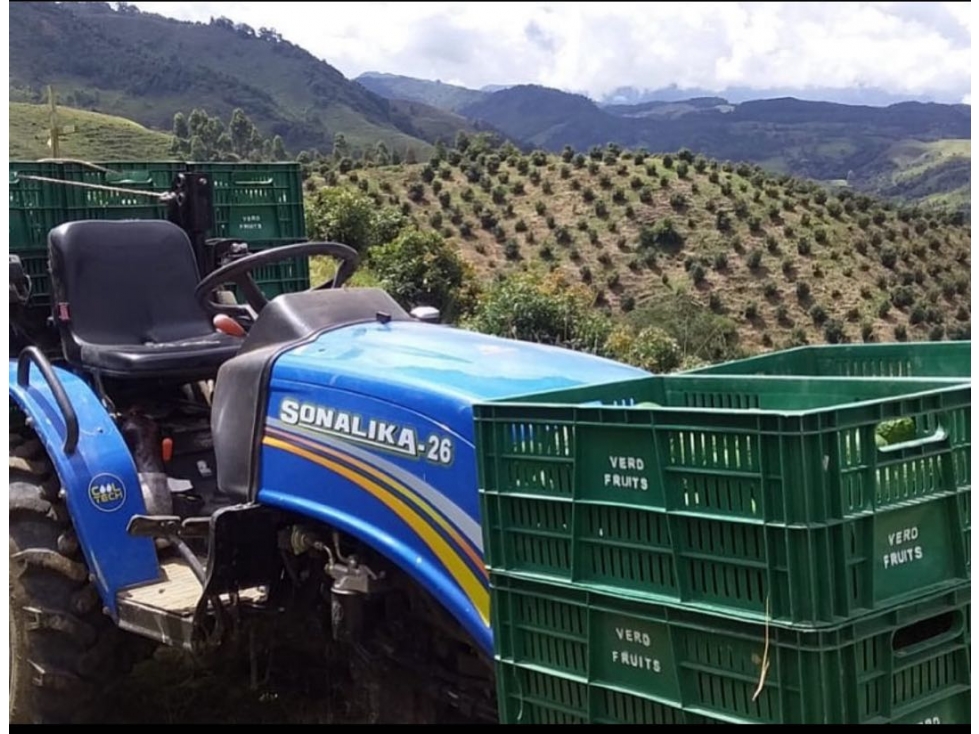 [FA] Finca aguacatera en Riosucio Caldas - 5