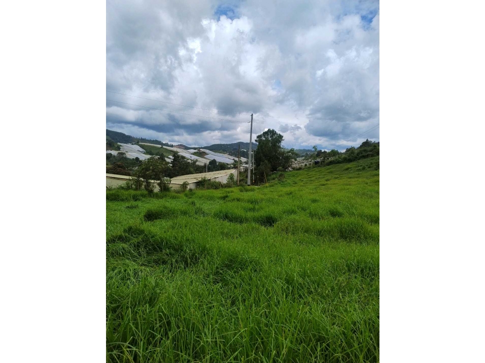 [EM] VENDE LOTE EN GUARNE,VEREDA GUAPANTE ARRIBA,A 15 MIN PUEBLO — foto 6