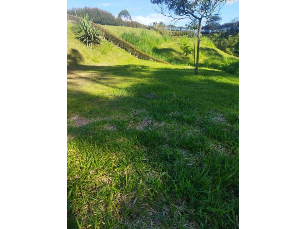 [EM] VENDO LOTE ENTRE SAN ANT.DE PEREIRA Y LA CEJA, PARCELACION SELVA — foto 2