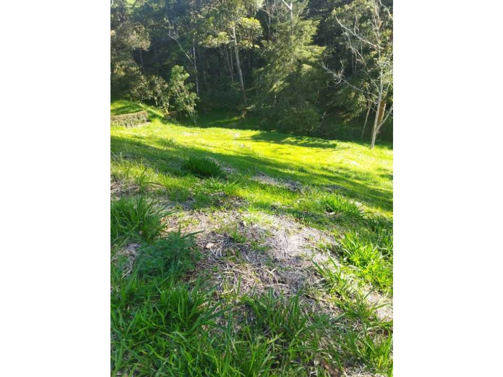 [EM] VENDO LOTE ENTRE SAN ANT.DE PEREIRA Y LA CEJA, PARCELACION SELVA — foto 3