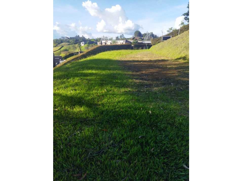 [EM] VENDO LOTE ENTRE SAN ANT.DE PEREIRA Y LA CEJA, PARCELACION SELVA — foto 4